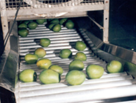 Cold Chain Consulting