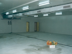 Cold Chain Consulting