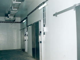 Cold Chain Consulting